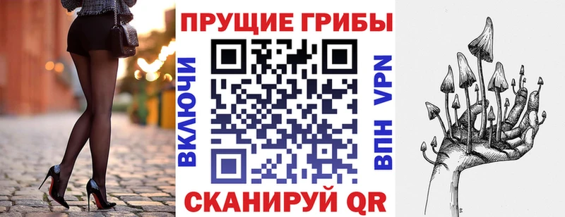 где можно купить наркотик  Петропавловск-Камчатский  Галлюциногенные грибы Psilocybe 